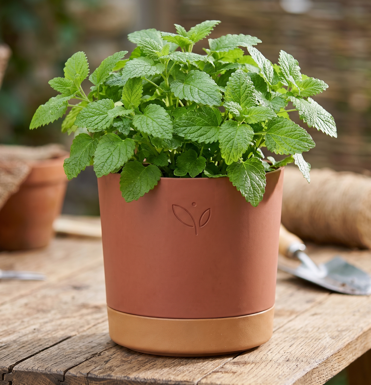 NOUYI Planter Pot